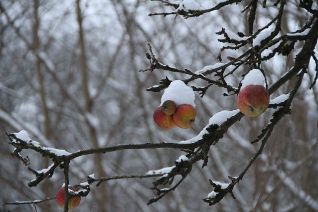 Bild: Wetterbild