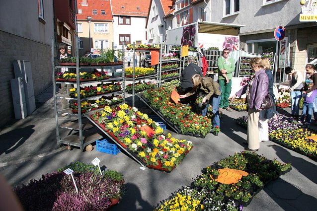 Bild: Fr&uuml;hlingsfest in Worbis