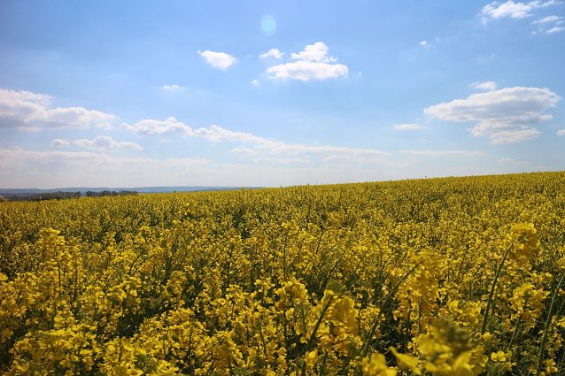Bild: Wetterbild