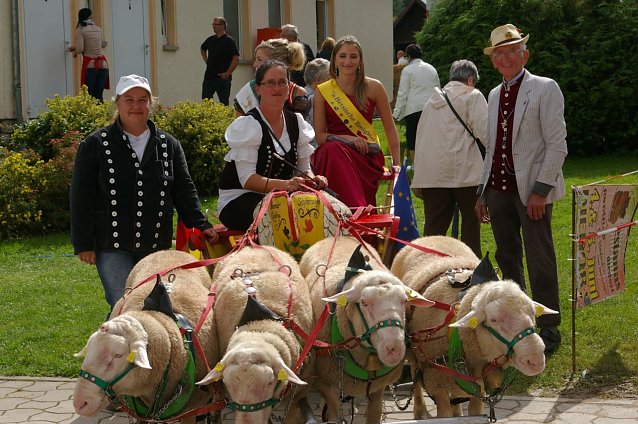 Bild: Bauernmarkt