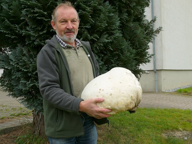Bild: Hans-Bernd Hartmann mit Riesenbovist