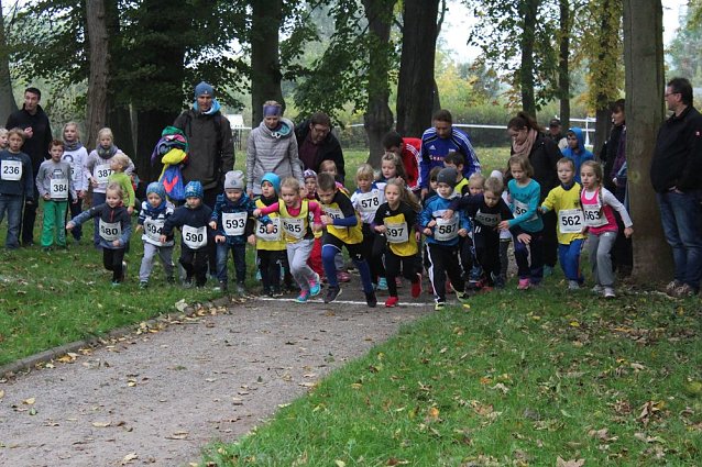 Bild: Stadtparklauf
