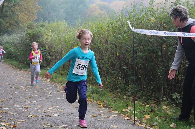 Bild: Stadtparklauf