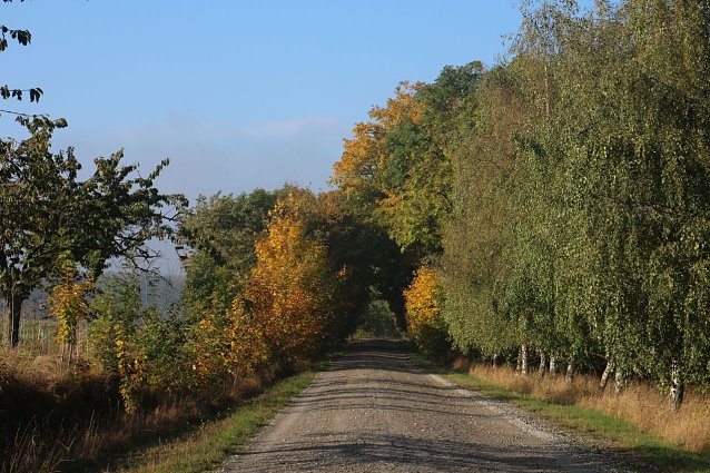 Bild: Wetterbild