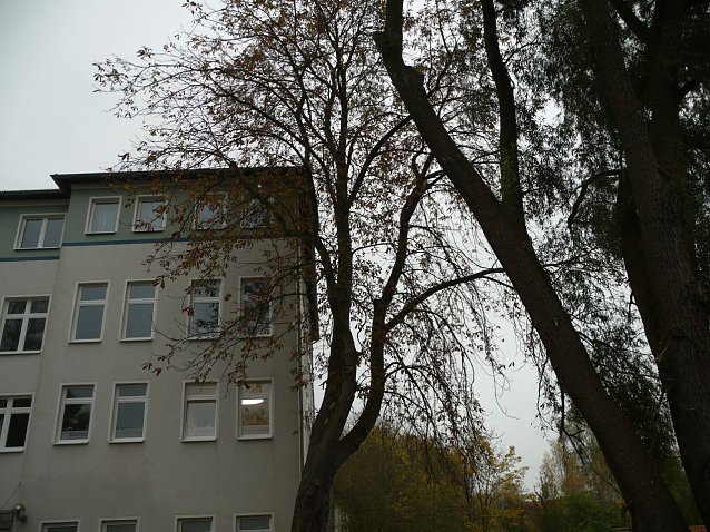 Bild: Haus Emmaus