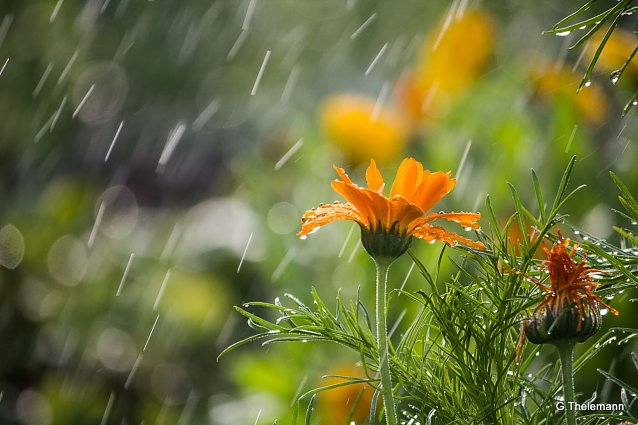 Bild: Wetterbild