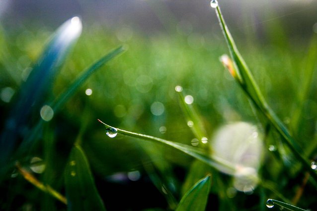 Bild: Wetterbild