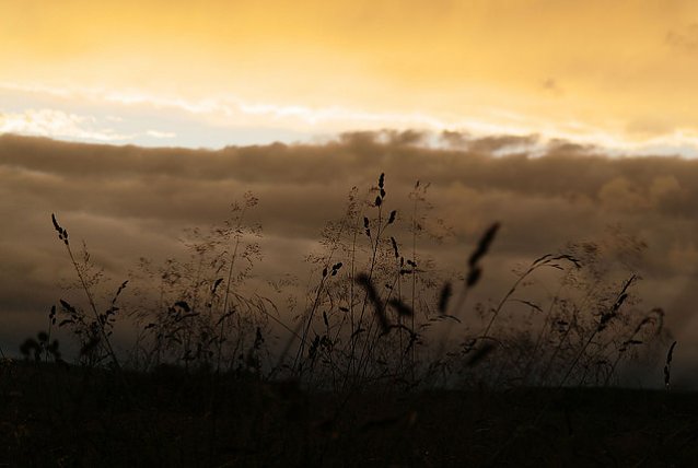 Bild: Wetterbild