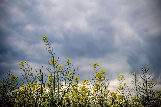 Bild: Wetterbild
