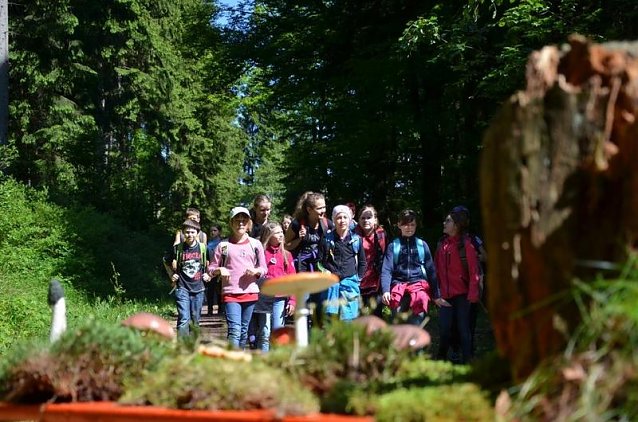 Bild: Waldjugendspiele