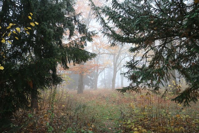 Bild: Wetterbild