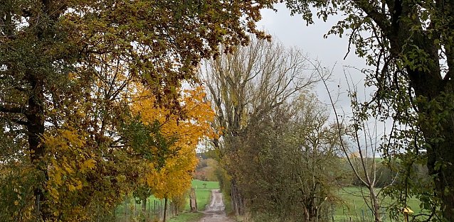 Bild: wetter