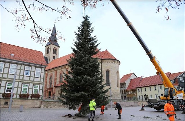 Bild: Weihnachtsbaum