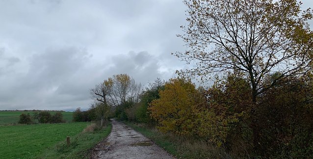 Bild: wetter