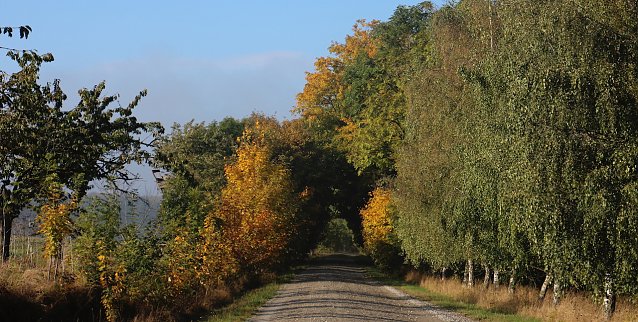 Bild: wetter