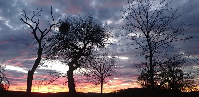 Bild: wetter