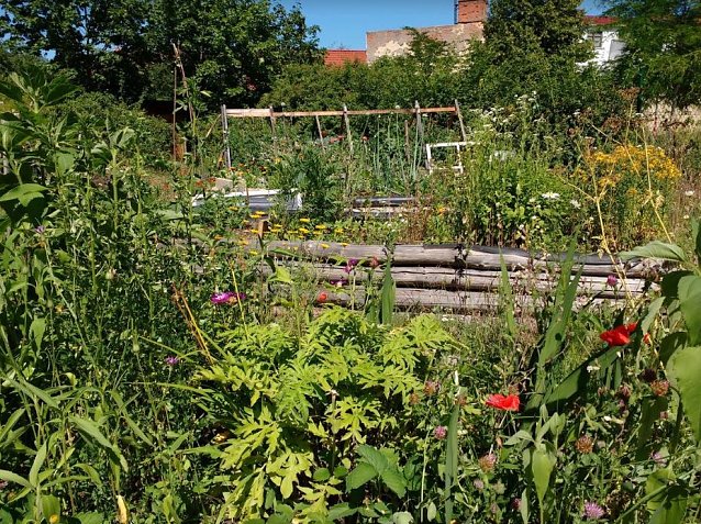 Bild: Garten