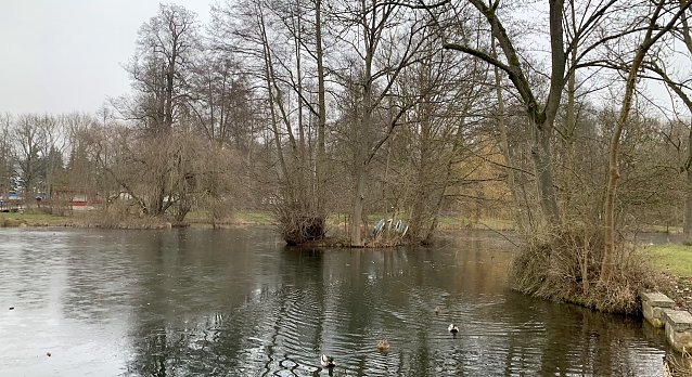 Bild: wetter