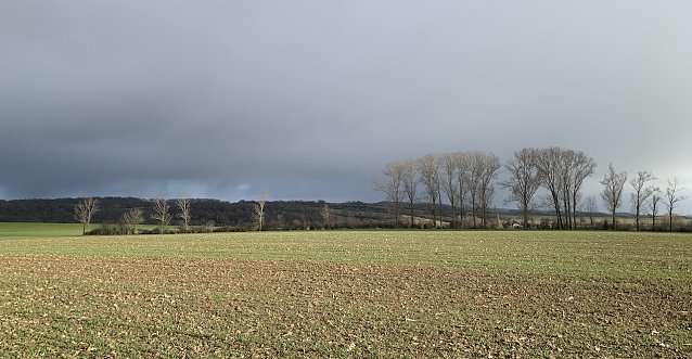 Bild: wetter 