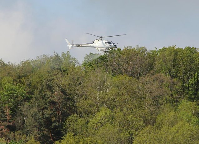 Bild: Schwammspinnerbek&auml;mpfung aus der Luft