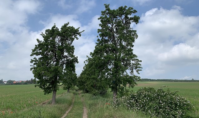 Bild: Bei Nordhausen