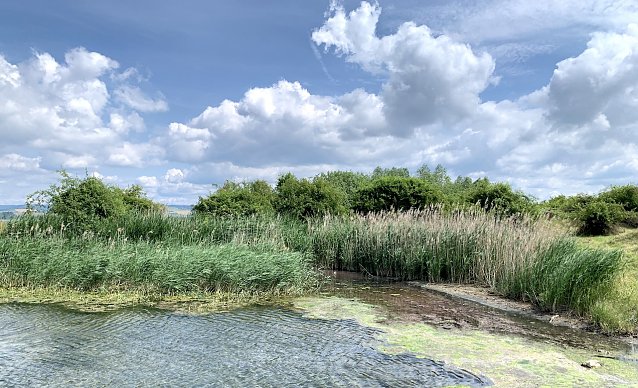 Bild: Stausee bei Kelbra