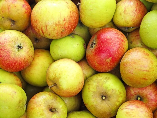 Bild: Eigenes Obst f&uuml;r eigenen Saft
