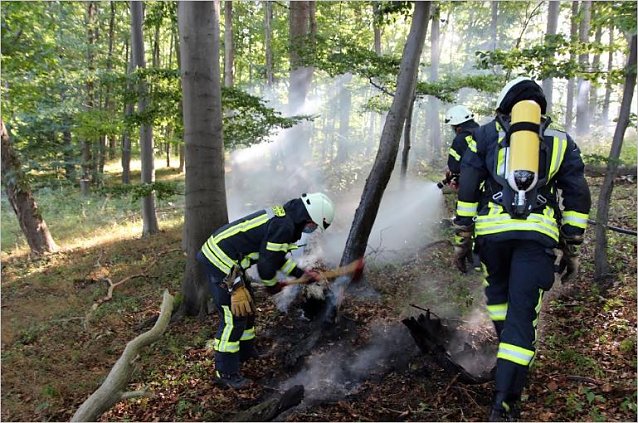 Bild: Baumbrand
