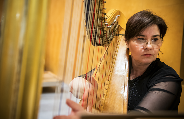 Bild: Das Loh-Orchester l&auml;dt zur "Werkstatt mit Mozart"