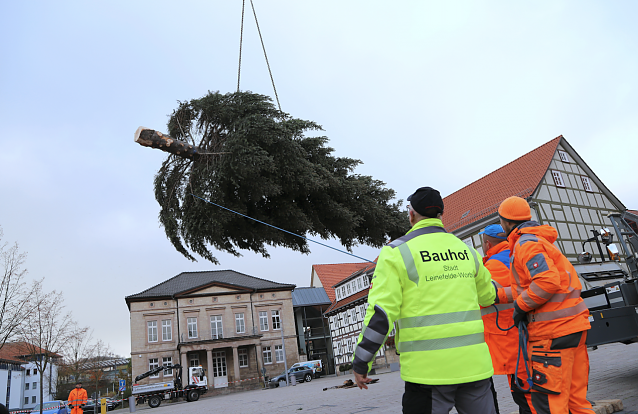 Bild: Leinefelde sucht Weihnachtsb&auml;ume