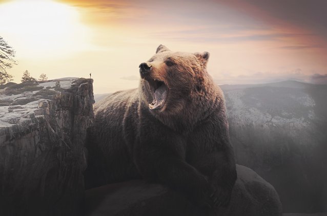Bild: B&auml;r