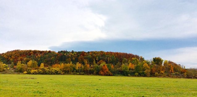 Bild: Am Kohnstein in Nordhausen/Salza