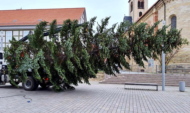 Bild: Bauhofmitarbeiter stellen die 13 Meter hohe Nordmanntanne auf dem Worbiser Friedensplatz auf.   