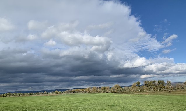 Bild: Bei Auleben