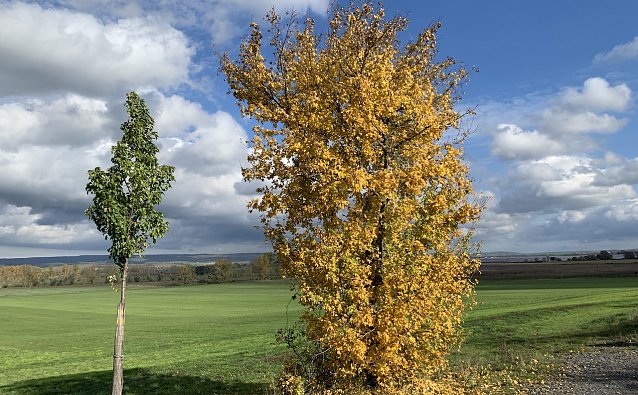 Bild: Das Herbstwetter in Deutschland