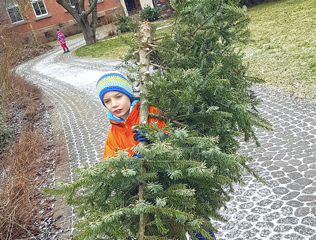 Bild: Weihnachtsbaumaktion in Heilbad Heiligenstadt