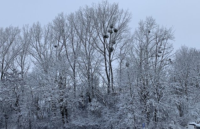 Bild: Winter in Nordhausen