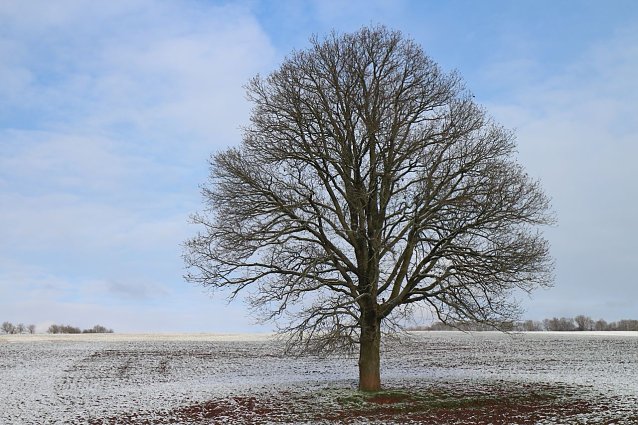 Bild: Wetterbild
