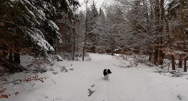 Bild: In Sophienhof ist weiter Winter