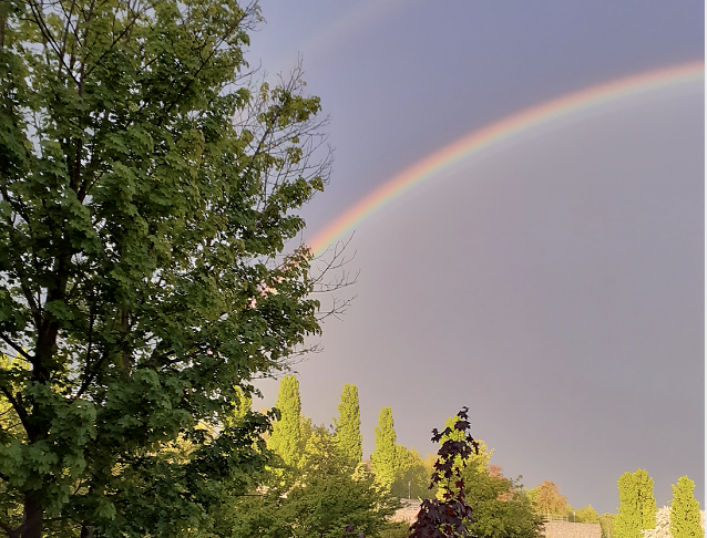 Bild: Wetterbild