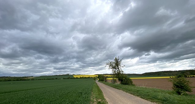 Bild: Bei Nordhausen