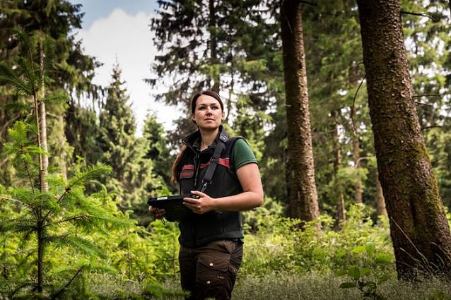 Bild: Eine Generation junger Forstleute sorgt f&uuml;r neue, klimaangepasste W&auml;lder im Harz. F&ouml;rsterin Victoria Witt begutachtet junge Douglasien und Erlen unter alten Fichten im Forstamt Clausthal