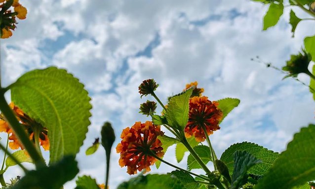 Bild: Wetter auf dem Balkon
