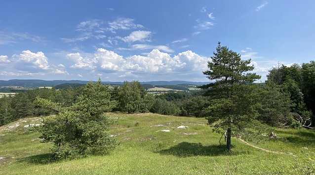 Bild: Blick von den H&ouml;rninger Klippen