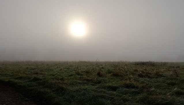 Bild: Im Hochharz heute Morgen