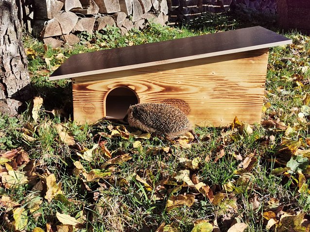 Bild: Immobilie f&uuml;r den Igel im eigenen Garten