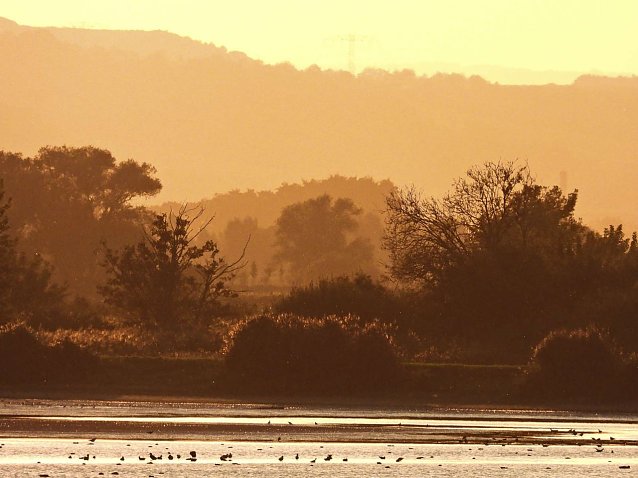 Bild: Unser Wetterbild kommt heute von Peter Blei, der diese sch&ouml;ne Aufnahme am Stausee Kelbra gemacht hat