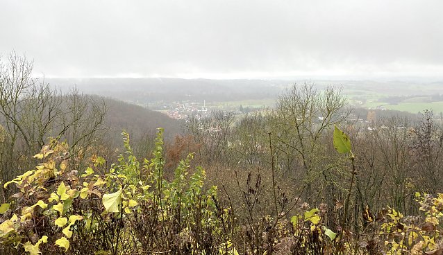Bild: Blick von der Burgruine Hohnstein