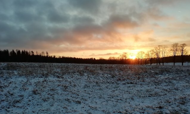 Bild: Sonnenaufgang heute Morgen in Sophienhof bei -5 Grad.
