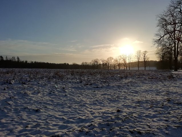 Bild: Schnee und Eis heute morgen in Sophienhof